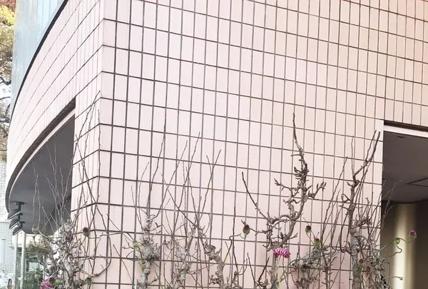 デンマーク王国大使館の写真・動画_image_128189