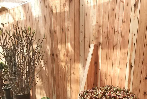 デンマーク王国大使館の写真・動画_image_128190