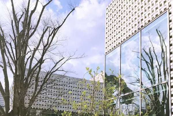 代官山 蔦屋書店(TSUTAYA)の写真・動画_image_128203
