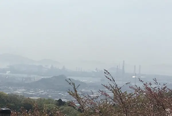 種松山公園西園地の写真・動画_image_128289