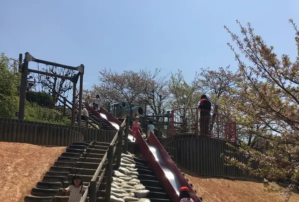 種松山公園西園地の写真・動画_image_128290