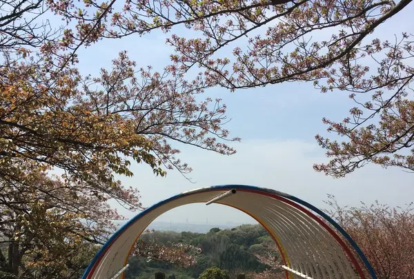 種松山公園西園地の写真・動画_image_128291