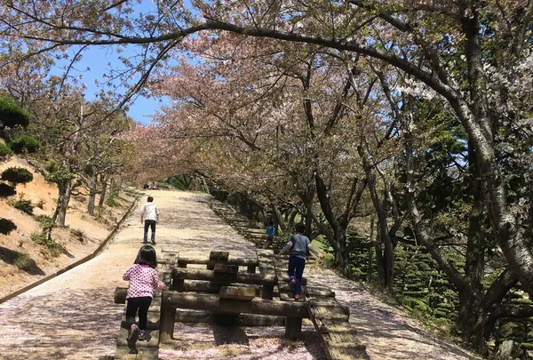 種松山公園西園地の写真・動画_image_128294