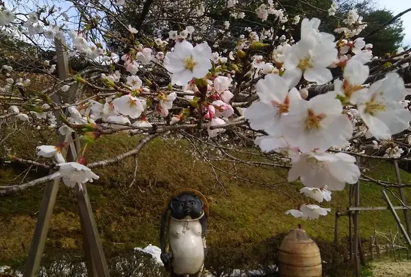 （株）山本園・WITH TEAの写真・動画_image_128296