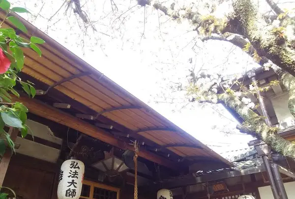 雨宝院の写真・動画_image_128335