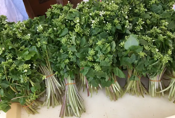 徳佐八幡宮の写真・動画_image_128387