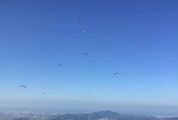 米の山展望台の写真・動画_image_128400