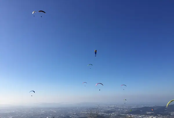 米の山展望台の写真・動画_image_128401