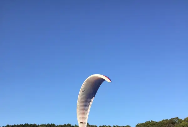 太祖宮の写真・動画_image_128403