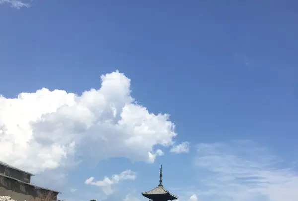 仁和寺の写真・動画_image_128450