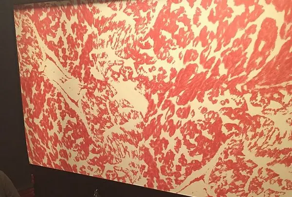 焼肉 芝浦 三宿店の写真・動画_image_128769