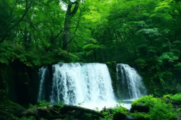 奥入瀬渓流　　の写真・動画_image_128906