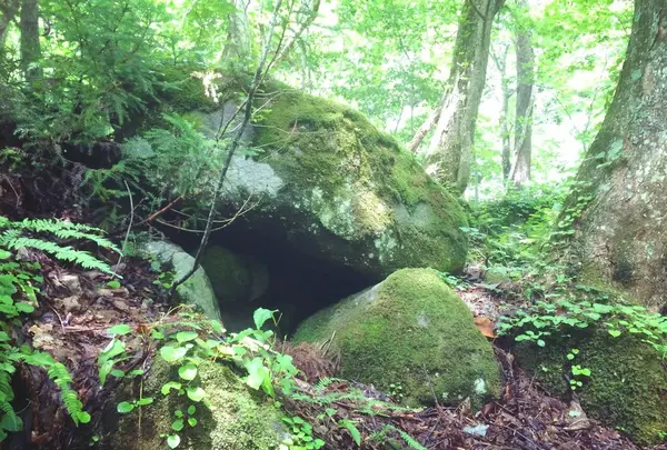 奥入瀬渓流　　の写真・動画_image_128908