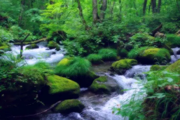 奥入瀬渓流　　の写真・動画_image_128910