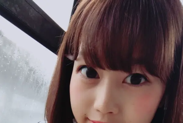 いちご狩り らいおん果実園の写真・動画_image_128976