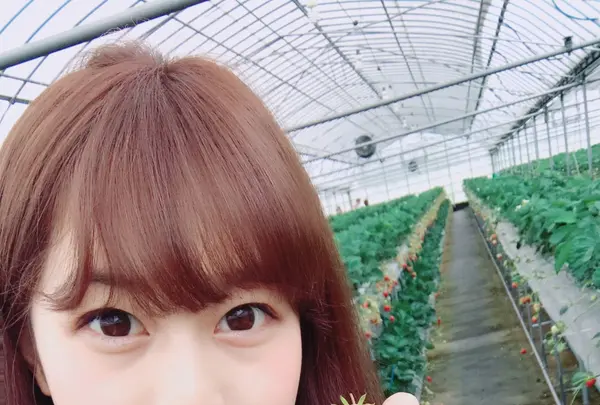 いちご狩り らいおん果実園の写真・動画_image_128977