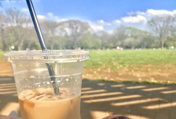 代々木公園の写真・動画_image_129176