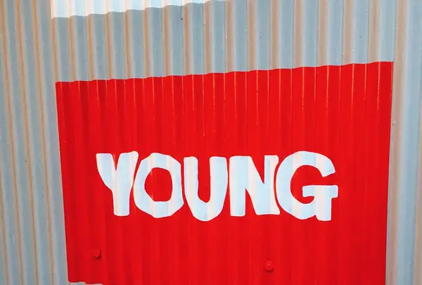 YOUNG（ヤング）の写真・動画_image_129185