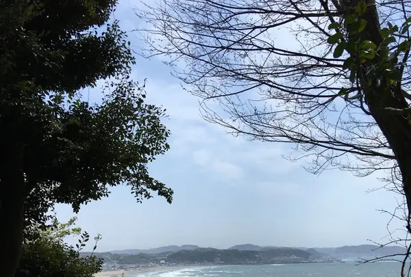 長谷寺の写真・動画_image_129219
