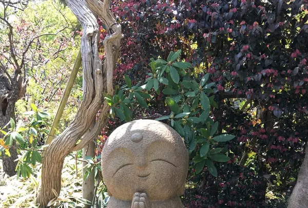長谷寺の写真・動画_image_129220