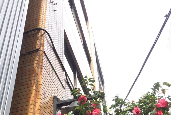 カフェ・デ・プリマベーラの写真・動画_image_129310