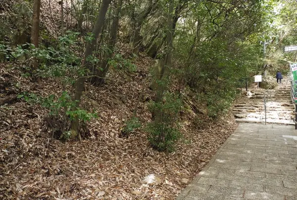 岐阜城の写真・動画_image_129319