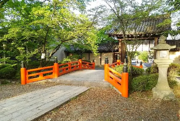 今宮神社の写真・動画_image_129639