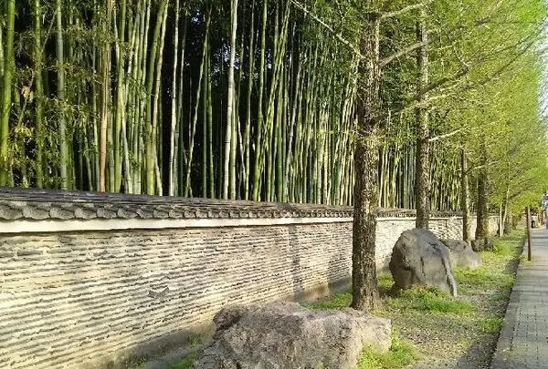 今宮神社の写真・動画_image_129660