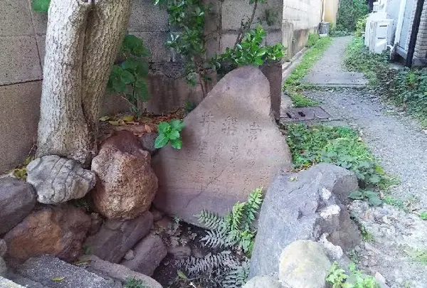 雲林院の写真・動画_image_129662