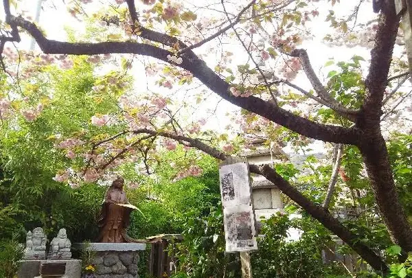 引接寺（ 千本ゑんま堂）の写真・動画_image_129689