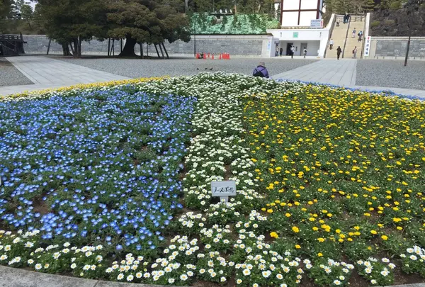 成田山新勝寺の写真・動画_image_129715