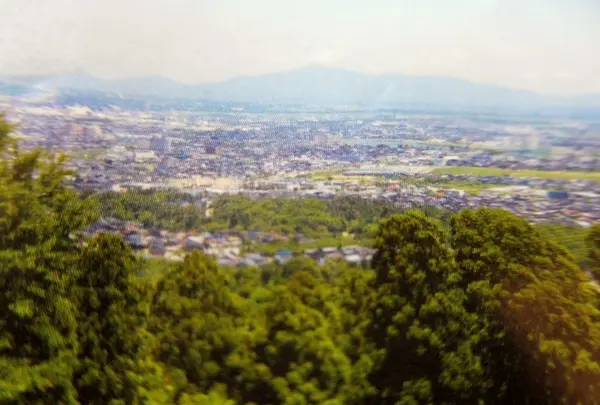 春日山城跡の写真・動画_image_129757