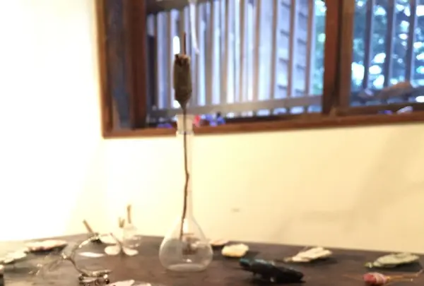 ギャラリー犬養の写真・動画_image_129824