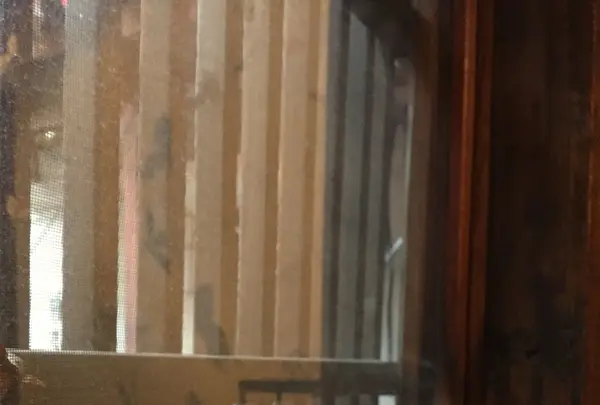 ギャラリー犬養の写真・動画_image_129825