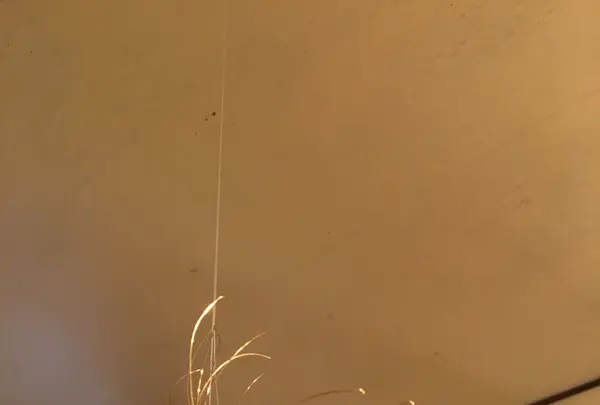 ギャラリー犬養の写真・動画_image_129842