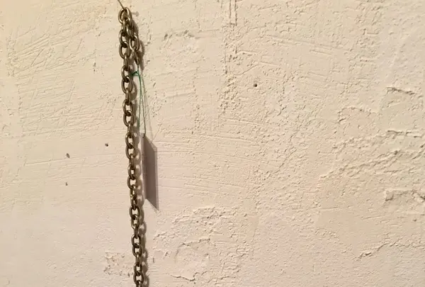 ギャラリー犬養の写真・動画_image_129844