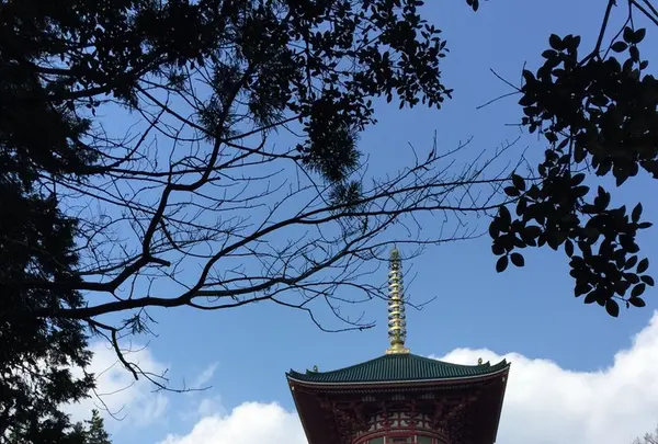 成田山公園の写真・動画_image_130014