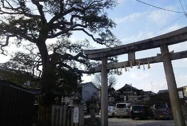 櫟谷七野神社の写真・動画_image_130167