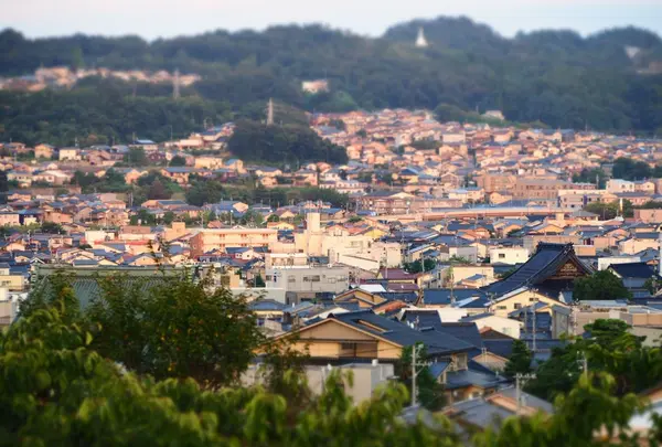 兼六園の写真・動画_image_130239