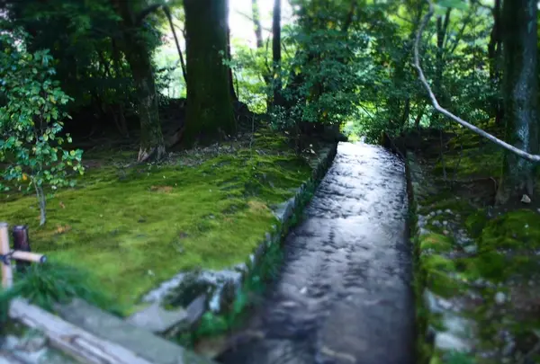 兼六園の写真・動画_image_130240