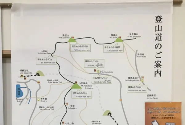 高尾ビジターセンターの写真・動画_image_130292