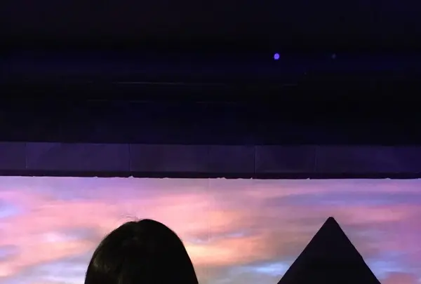 高尾山トリックアート美術館の写真・動画_image_130297