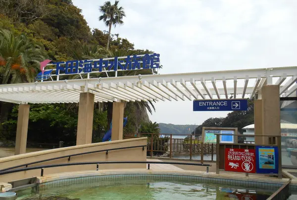 下田海中水族館の写真・動画_image_130410