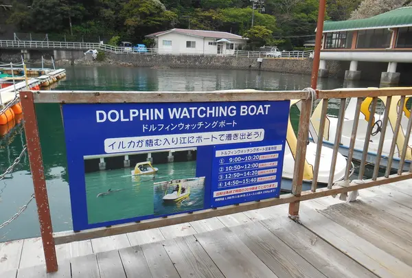 下田海中水族館の写真・動画_image_130412