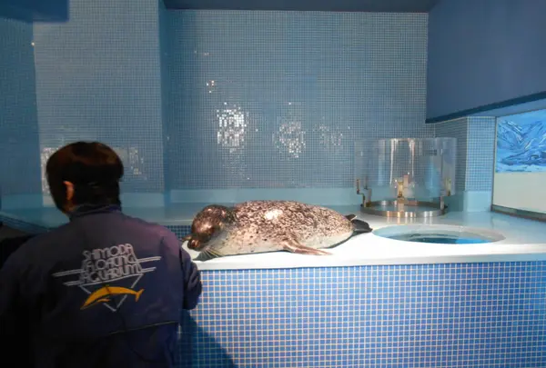 下田海中水族館の写真・動画_image_130415