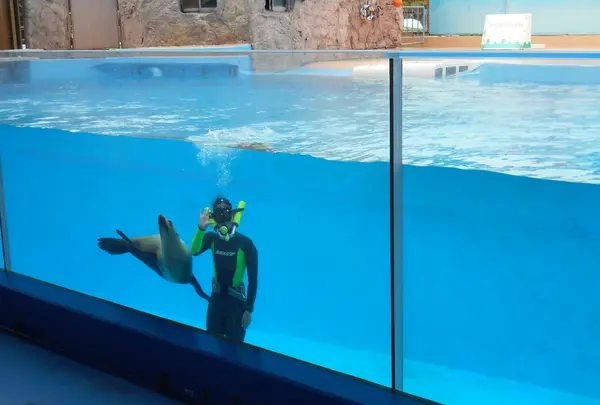 下田海中水族館の写真・動画_image_130419