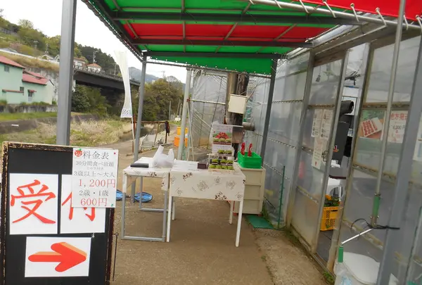 伊豆下田なごみ果園の写真・動画_image_130420