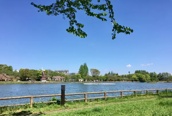 都立浮間公園の写真・動画_image_130422