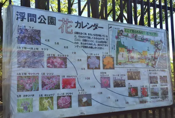 都立浮間公園の写真・動画_image_130424