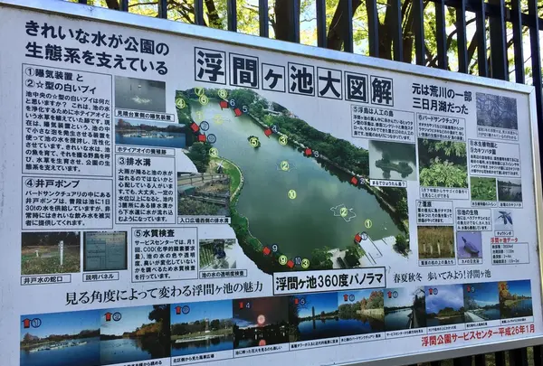 都立浮間公園の写真・動画_image_130425